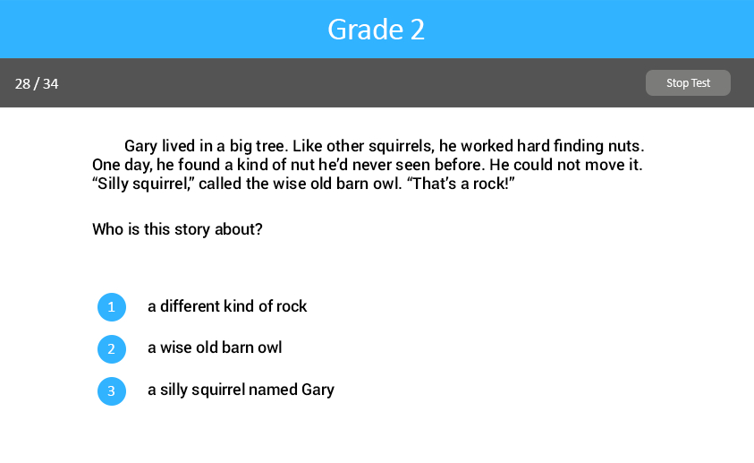 Analyzing Literary Text Grade Six test screenshot.
