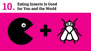 Eating Insects Is Good for You and the World
