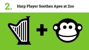 Harp Player Soothes Apes at Zoo
