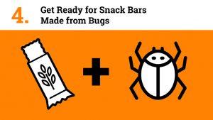 Get Ready for Snack Bars Made from Bugs