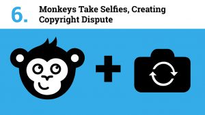 Monkeys Take Selfies, Creating Copyright Dispute