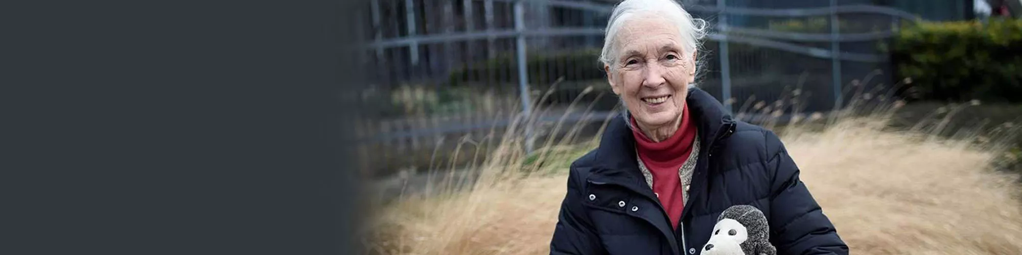 Hero image for the A Q&A with Dr. Jane Goodall page