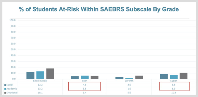 SAEBRS report showing subscale scores