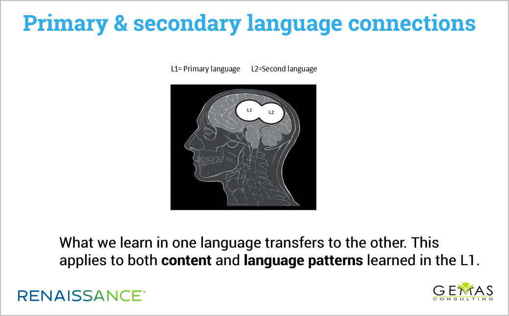 Brain showing primary and secondary language connections.
