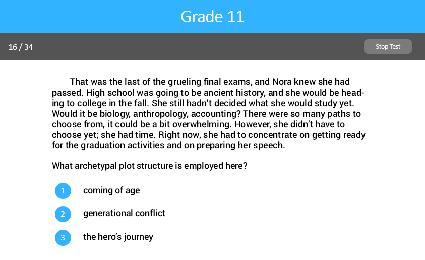Analyzing Literary Text Grade Two test screenshot.