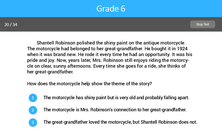 Analyzing Literary Text Grade Eleven test screenshot.