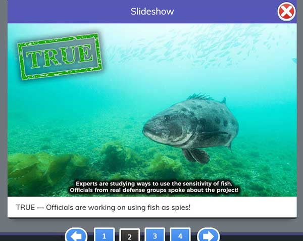 myON News screenshot - fish photo