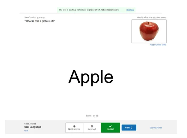 Star Preschool Literacy sample