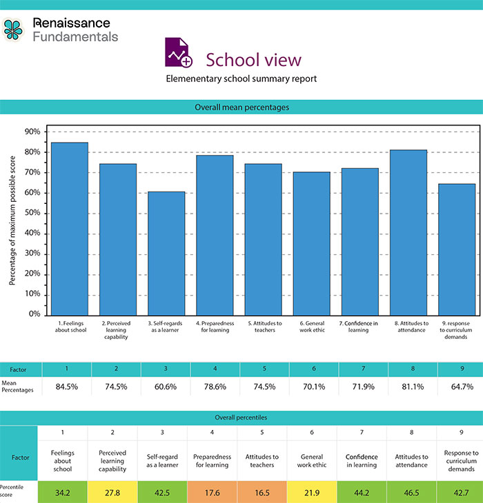 Fundamentals sample school level report