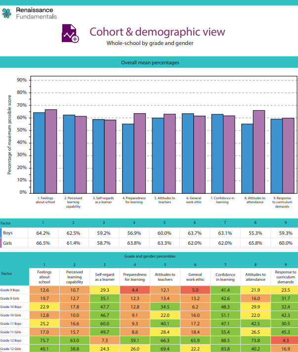 Fundamentals demographic level report