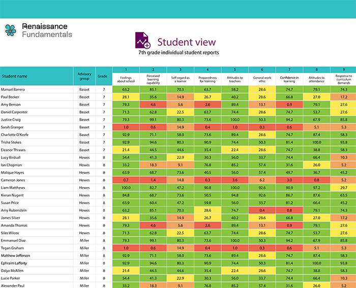 Fundamentals individual student report