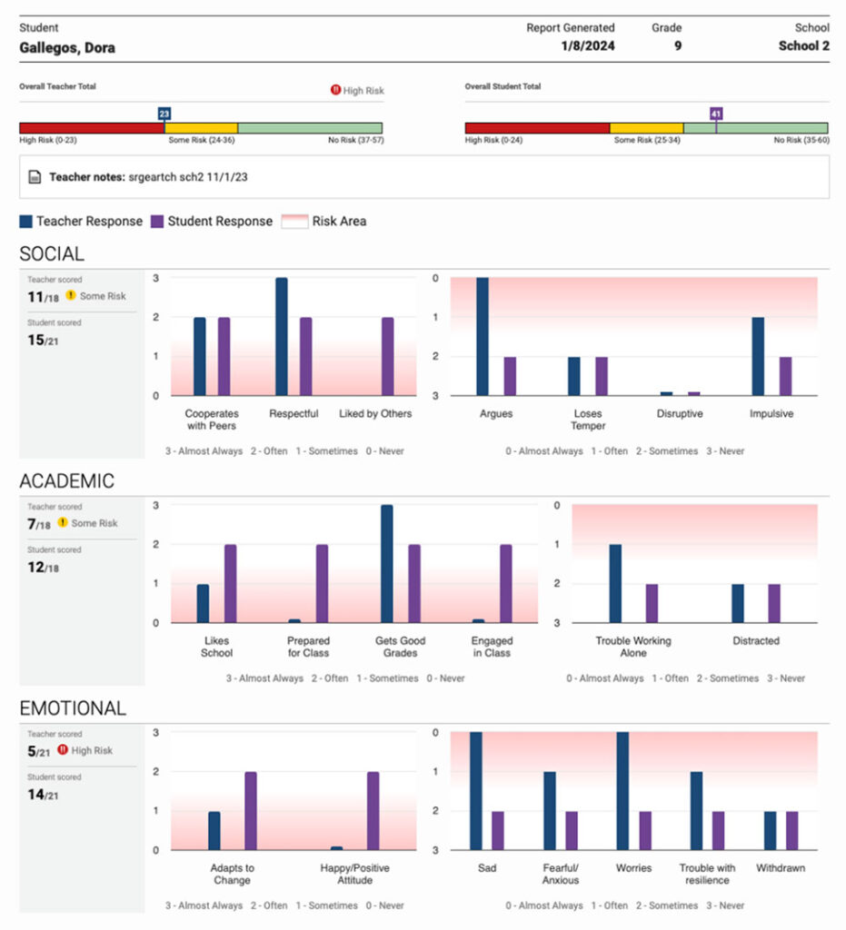 Individual Skills Report