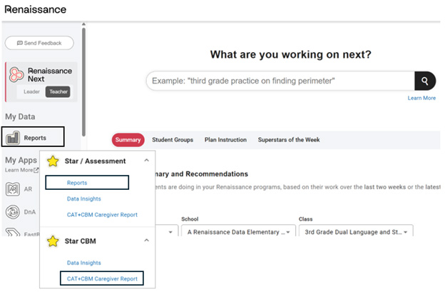Renaissance Next home screen Access reports