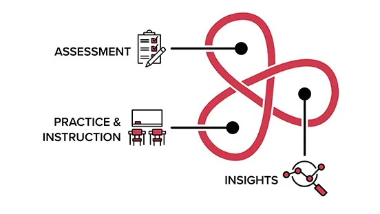 A diagram of the Renaissance software ecosystem