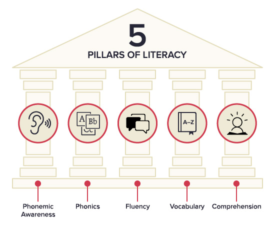 Renaissance 5 Pillars of Literacy infographic